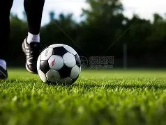 中日儿童身,体素质差异,中国儿童天,彩神争霸,彩票平台,安全购彩,彩票投注,在线彩票