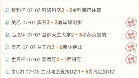 推荐 足球攻略周六025巴西甲对决：博塔弗戈弗鲁米嫩，避雷指南